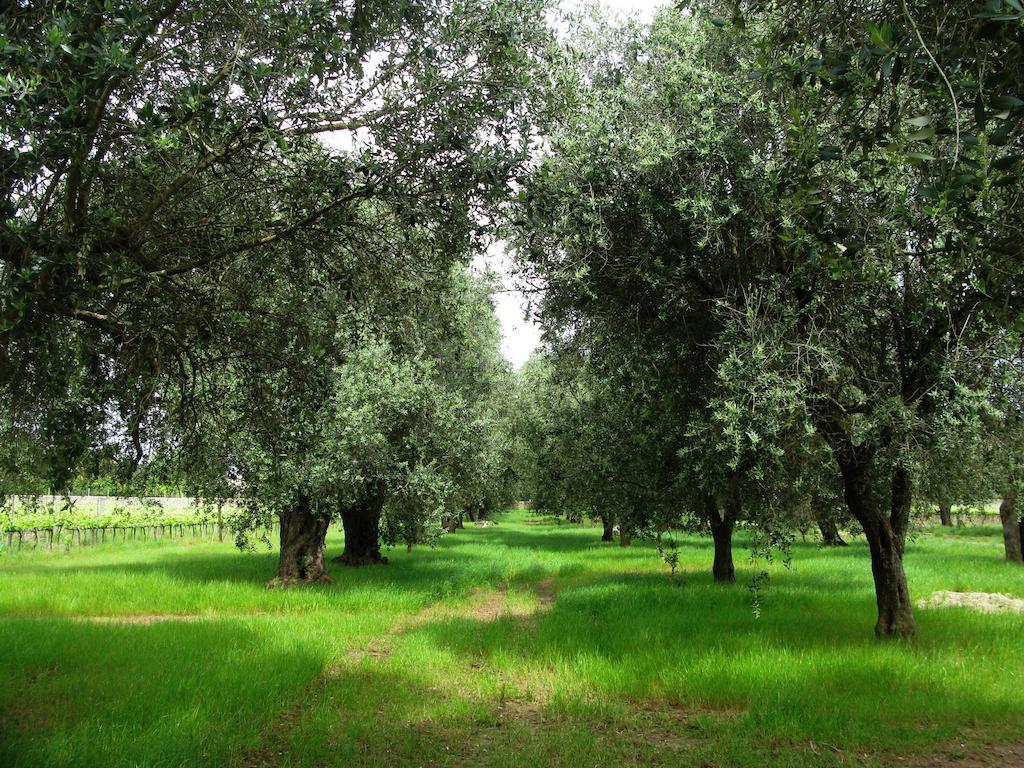 Masseria San Polo Squinzano Экстерьер фото